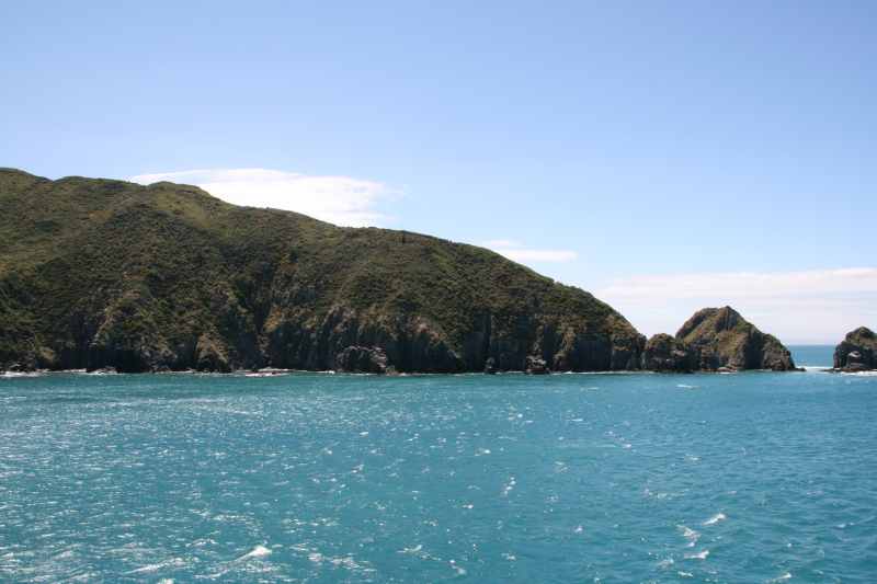 Nieuw-Zeeland 2011 - 0929